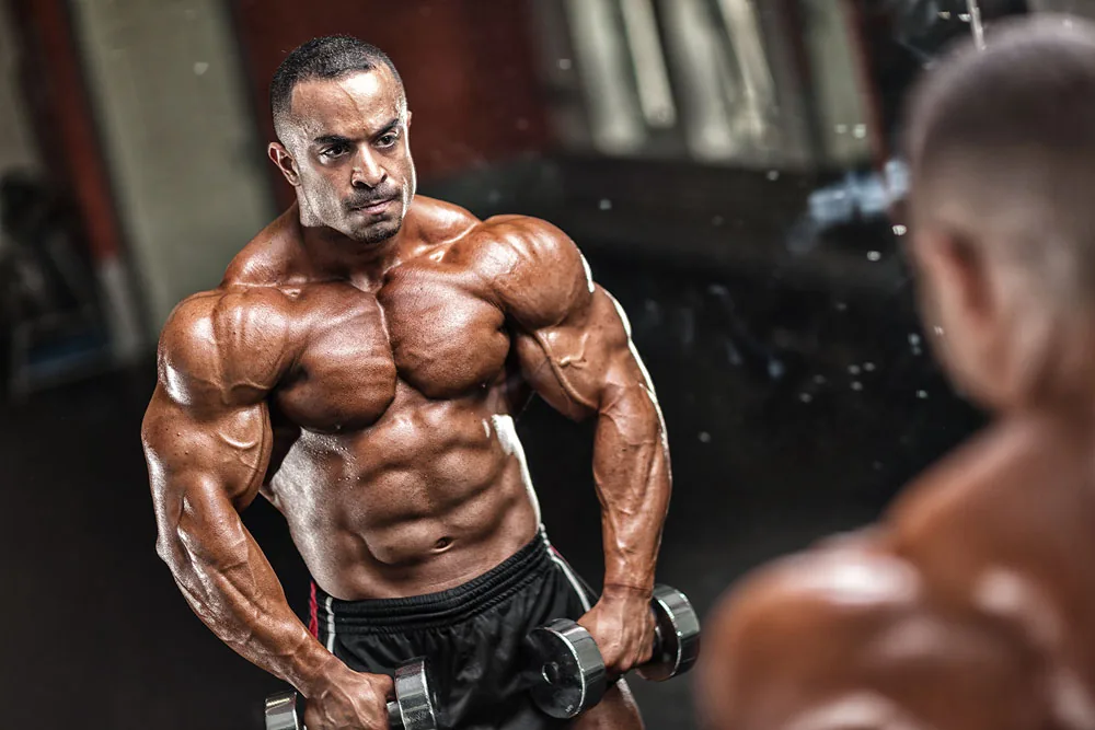 sasan_heirati_flex_magazine_0012